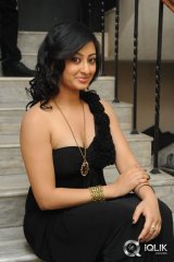 Tanishka at Cut Chesthe Audio Launch